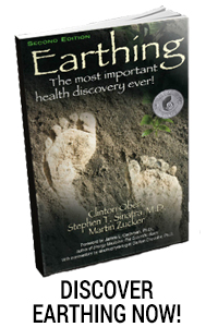 The Earthing Book